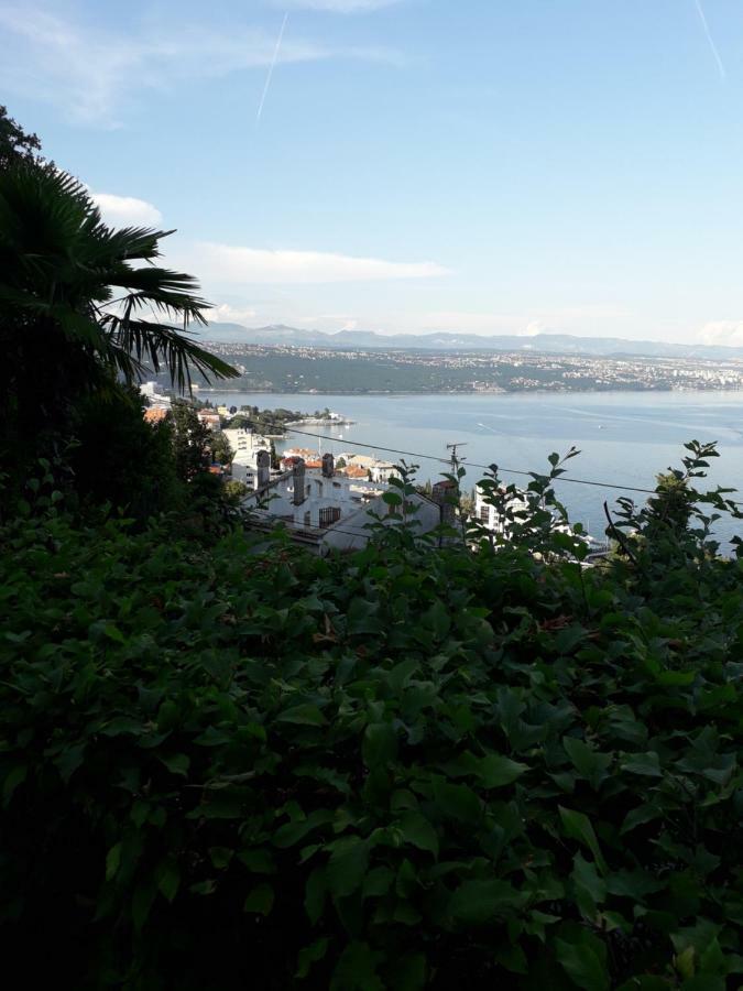 Apartament Ana *